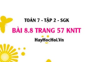 Bài 8.8 trang 57 Toán 7 Tập 2 Kết nối tri thức: Xác định loại biến cố